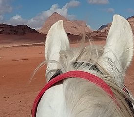 9 Day Luxury Petra and Wadi Rum Horse Riding Tour in Jordan - Photo 2