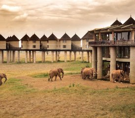03-Daagse Saltlick naar Amboseli Safari in Kenia - Photo 1