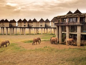 3 Day Saltlick to Amboseli Safari in Kenya