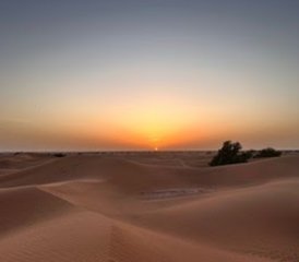 7 jours en circuit de trek, yoga et méditation à travers le Sahara au Maroc - Photo 5