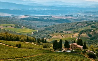 Chianti Retreats & Trips