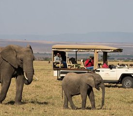 4 Day Great Rift Valley Lakes Safari in Kenya - Photo 2