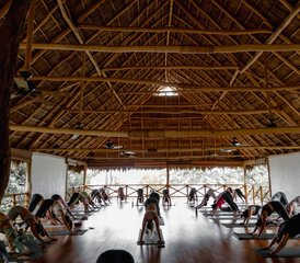 48 Dag Vakantie met Hot Yoga en Rocket Yoga op een Privéstrand in Xinalani, Mexico, met Wim Hof ​​en Meer - Photo 1