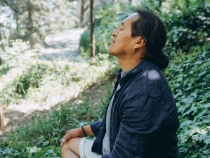 5 Day Meditation and Mindfulness Retreat in Knysna, South Africa