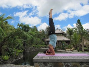 3 Day Summer Shine Weekend Yoga Retreat in Sussex