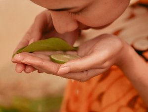5 jours en stage "Aimer votre vie" à Bali, Indonésie