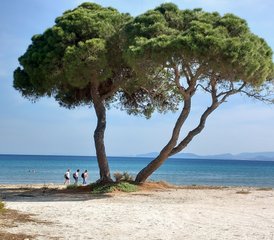 6 Tage Therapeutisches Yoga-Retreat in Nea Makri, Griechenland: Reinigung und Wiederherstellung des Gleichgewichts  - Photo 4