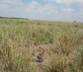 3-Daagse Luxueuze Safari in Amboseli National Park - Photo 5