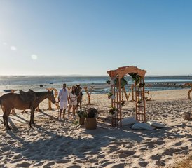 3 jours escapade campagne avec journée d’activités équestres à Moita, Portugal - Photo 2