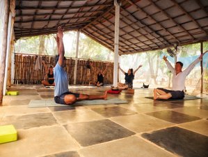 7 Tage Yoga Retreat in Palolem