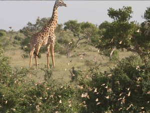 6 Days Best Adventure Safari in Kenya