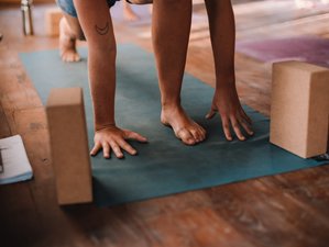 22 Tage 200-Stunden Yin und Yang Yogalehrer Ausbildung in Nusa Lembongan, Bali