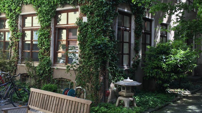 11 Tage Iyengar Yoga Retreat in Golden Beach, Lesbos, Griechenland