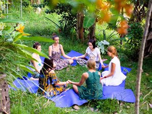7 Tage Dschungel Yoga Tour und Urlaub auf Koh Samui, Thailand 