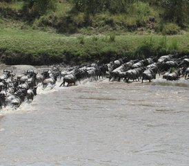 5-Daagse Tanzania Safari in Tarangire, Ndutu, Serengeti en Ngorongoro - Photo 4