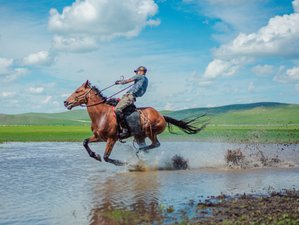 5 Day Luxury Equestrian Adventure in Hulunbuir, China: Freedom on Horseback, Comfort, and Gastronomy
