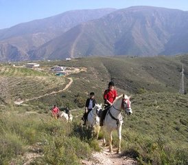 3-Daagse Paardrijvakantie in Lanjarón, Granada, Spanje - Photo 3