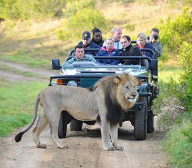 5 Day Luxury Wildlife Safari in Kenya - Photo 3