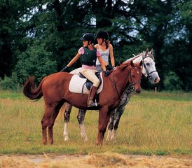 7 Day Horse Riding Holiday in Adare, Munster: Ireland’s Training and Trail Ride - Photo 4