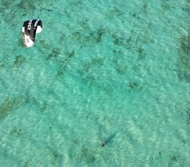 17 Day Jambiani Kitesurf Camp in Zanzibar, Tanzania - Photo 1
