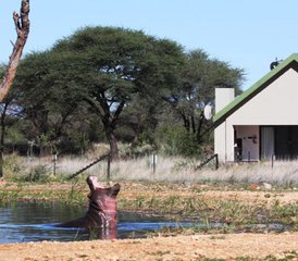 111-Tage Namibia- und Botswana Big-Five Wildnis-Camping-Safari - Photo 1