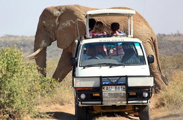 3 jours en stage de safari routier à Tsavo East et Amboseli au Kenya