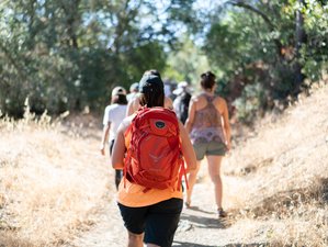 4 Day Yoga, Hiking and Nature Retreat with Live Music from Tony Khalife in California, USA