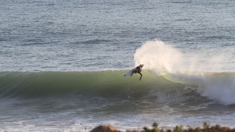 8-Daagse Kleinschalige Surfkamp Voor Beginners in Tamraght, Marokko