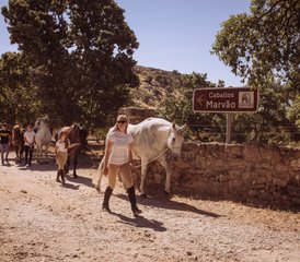 3 Day Horse Riding Holiday on The Spanish-Portuguese Border - Photo 5