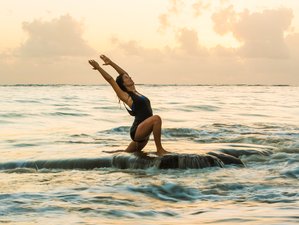 8 Day Yoga and Intensive Kite Boarding with Beachfront Eco Hotel in Cabarete, Dominican Republic