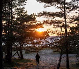 5 jours en stage de yoga nordique : découverte de soi et connexion avec les autres à Hiiumaa, Estonie - Photo 5