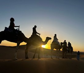 7 jours en retraite Alquemy Wellness au Maroc - Photo 2