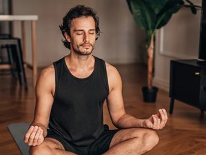 5 Day 50-Hour Online Restorative Yoga Teacher Training With Daily Live Sessions