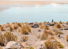 Potosí Retreats & Trips