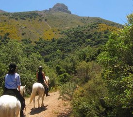 8 Tage Panorama-Reiturlaub mit Hotelunterkunft auf Kreta, Griechenland - Photo 5