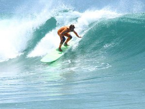 11 Day Beginner's Surf Holiday in Tamraght, Agadir-Ida Ou Tanane