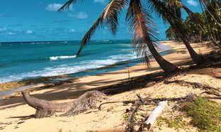 Playa Encuentro Retiros y Viajes