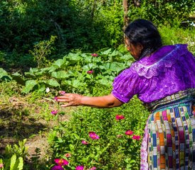 6 jours en retraite de médecine des plantes pour la guérison au lac Atitlán à San Marcos, Guatemala - Photo 4