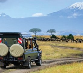 7 días de safari privado emocionante en Kenia - Photo 3