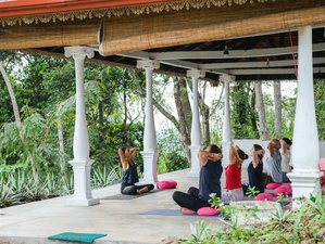 6 Day Yoga Holiday in Kandy, Sri Lanka
