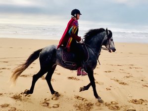6 heures journée guidée non résidentielle à cheval plages et forêt d’Essaouira, Maroc