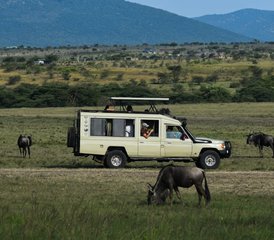 7 Tage Kenia-Safari: Abenteuer in der Tierwelt von Masai Mara, Lake Nakuru, Lake Naivasha und Amboseli - Photo 4