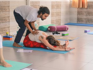 8 Day 100-Hour Yin Yoga Teacher Training in Rishikesh, India