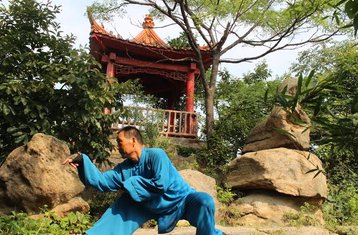 7 Maanden Traditionele Kung Fu Training met Meihua Poles in Linyi, Shandong, China