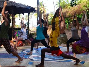 14 Day 100-Hour Yoga Teacher Training in Arambol Beach, Goa
