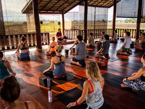 6 Day Winter Meditation and Yoga Retreat with Digital Detox in Chiang Mai