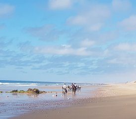 8 Tage Strände, Wüste und Palmenhaine des Großen Marokkanischen Südens Reiturlaub - Photo 4