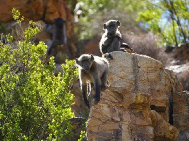 12 Day Raid South Africa - Guided Motorcycle Tour photo 10