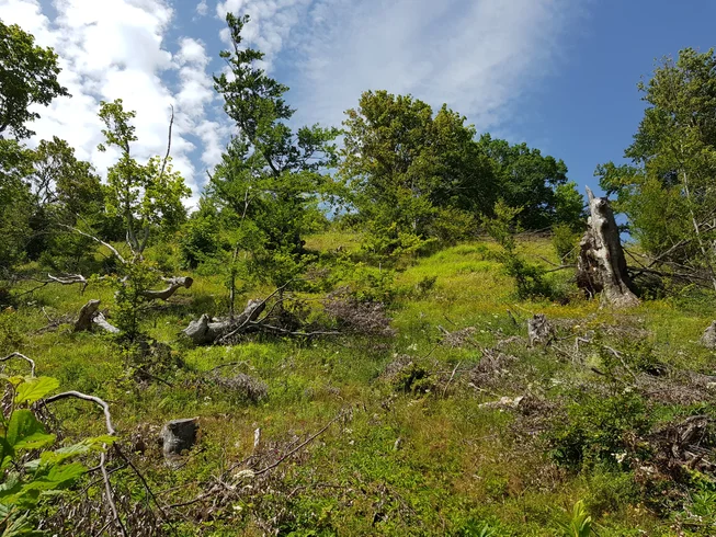 7 Day Guided Enduro Intermediate Motorcycle Tour Riding Through Bosnia Herzegovina photo 9