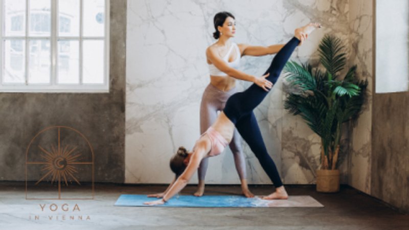 Self-Paced 200-Hour Hatha and Vinyasa Online Yoga Teacher Training